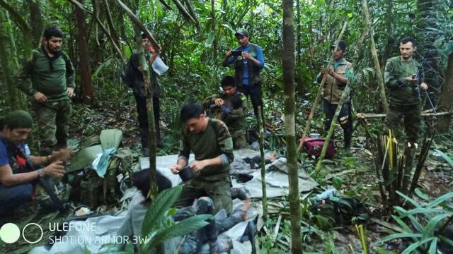¿Cómo pudieron sobrevivir los 4 niños que pasaron 40 días en la selva colombiana?