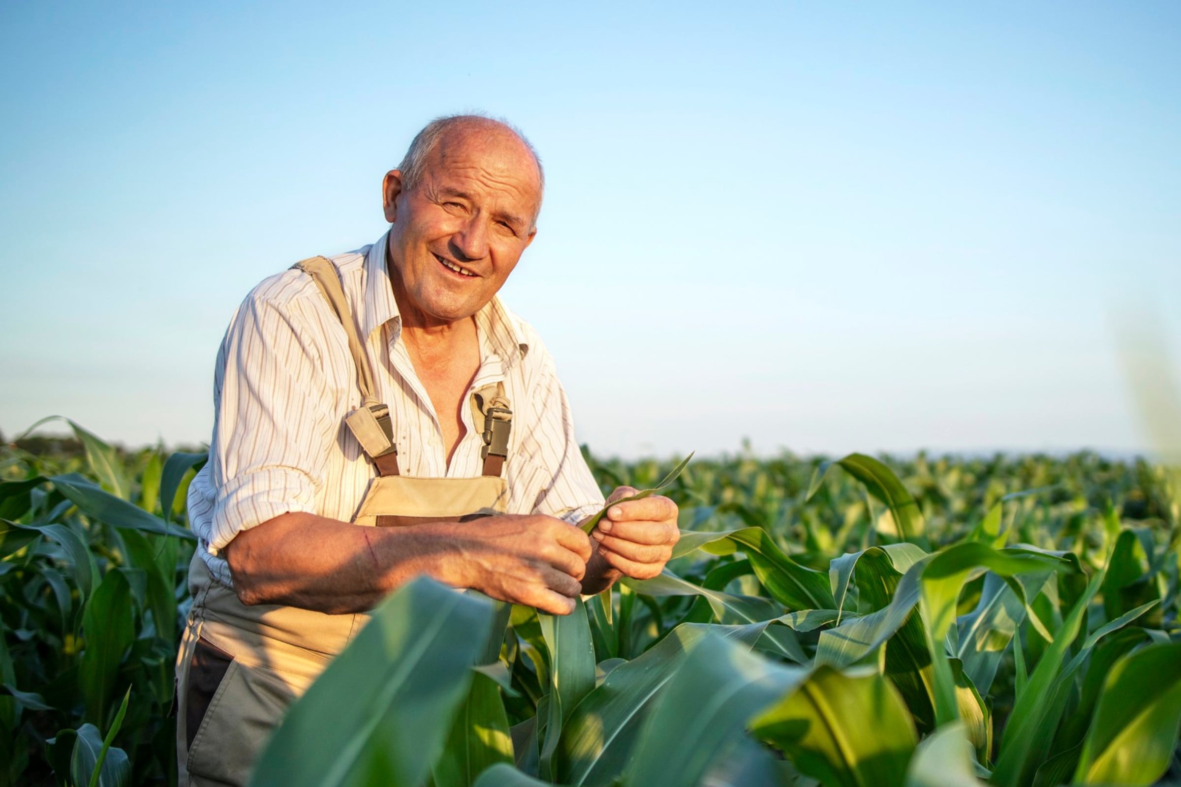 Algunos puestos de trabajos relacionados con la agricultura podrían desaparecer (Foto: Freepik)