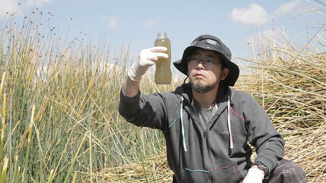 Lago Titicaca: las labores del científico que busca descontaminarlo [FOTOS]