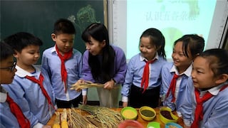 China velará por la seguridad de los alimentos en sus escuelas y jardines de infancia