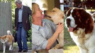 “Día del Perro”: Las mejores películas protagonizadas por ‘el mejor amigo del hombre’ | FOTOS