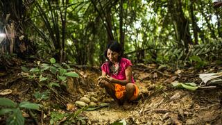 Las historias de emprendimiento que marcarán la primera versión digital del Salón del cacao y chocolate