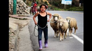 Ecuador: Chunchi, el pueblo donde se aprende a vivir sin padres