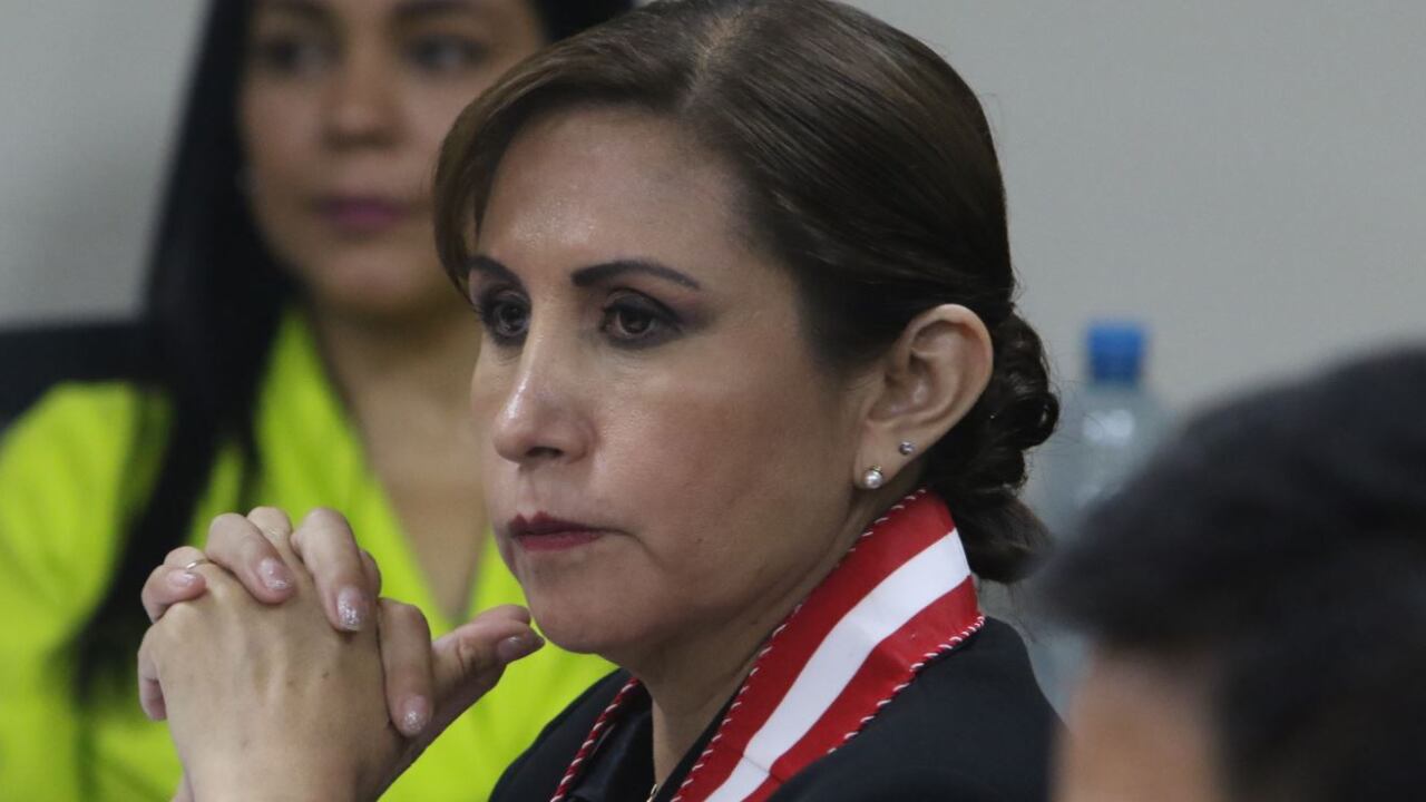 Patricia Benavides: Tribunal Constitucional declara fundado recurso de queja de la exfiscal de la Nación. (Foto: Andina)