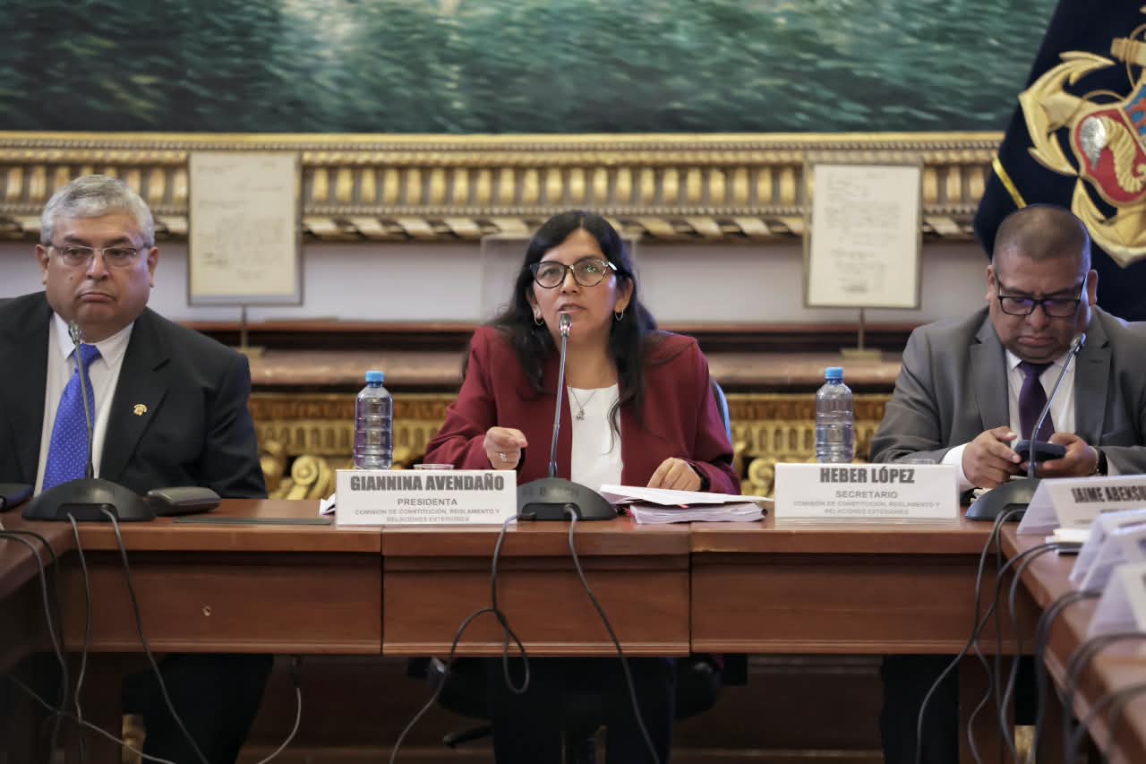 Comisión de Constitución