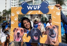 Wufathon 4K 2025: horario, lugar de partida y todos los detalles de la carrera de este domingo 14 de diciembre