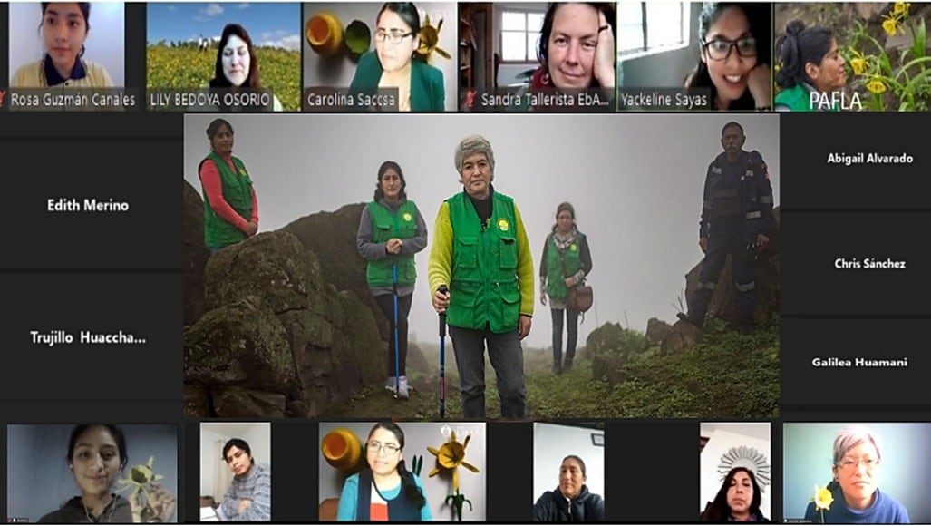 Encuentro virtual para difundir los trabajos de las estudiantes en base a las lomas de Amancaes. (Foto: Festivoces Lomero)