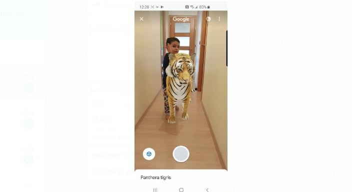 (Foto: captura/Twitter)