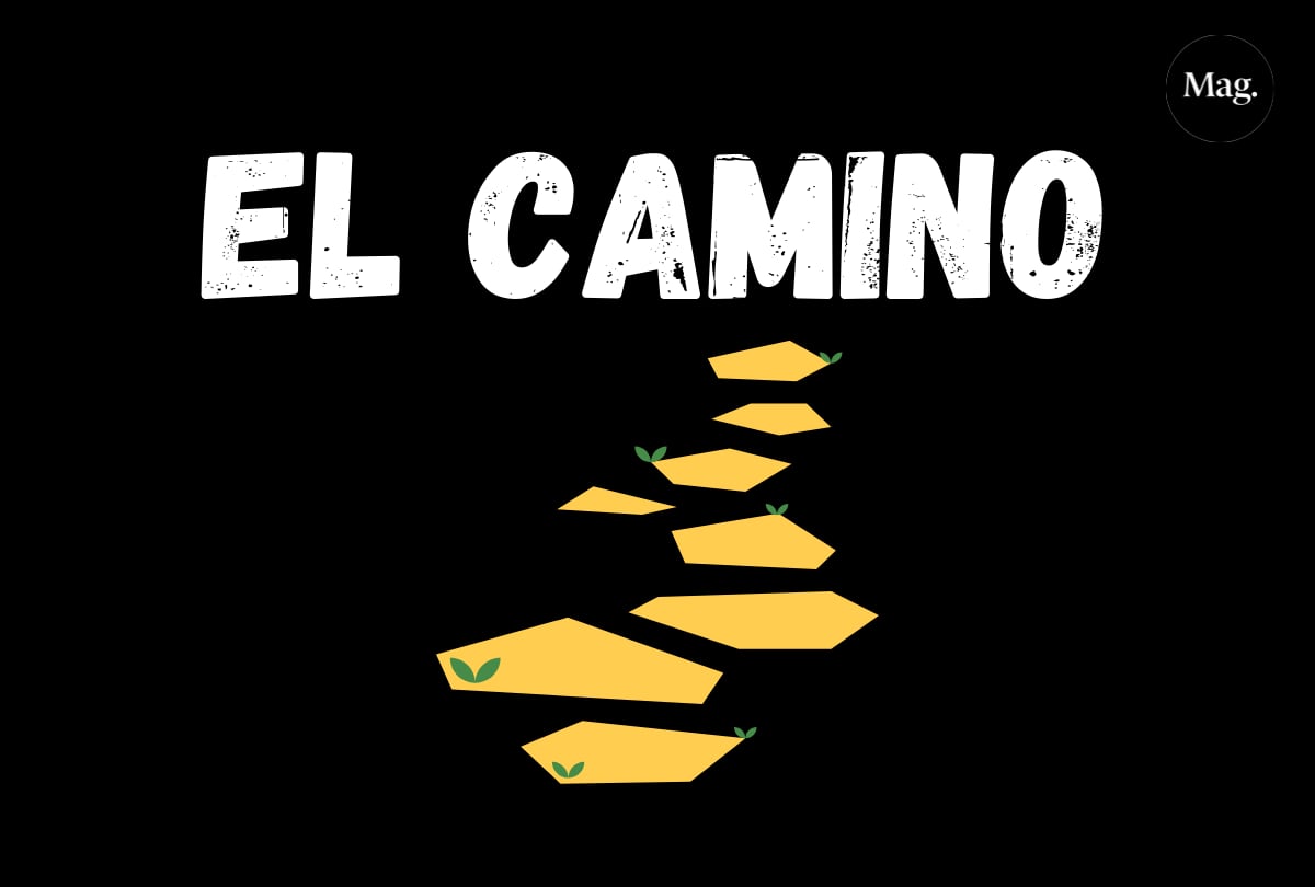 Los acertijos y juegos de lógica pueden ser una herramienta poderosa para mejorar y mantener tu salud mental, mientras te diviertes y desafías a tu cerebro.