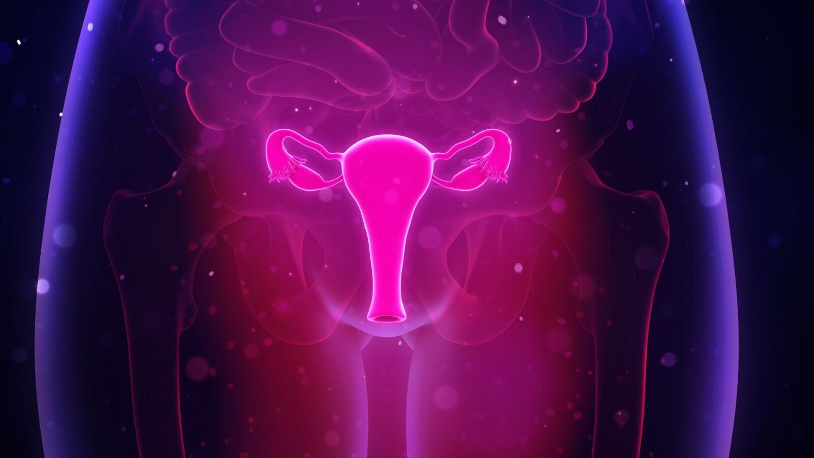 Una microbiota vaginal saludable es la primera línea de defensa contra el cáncer de cuello uterino.