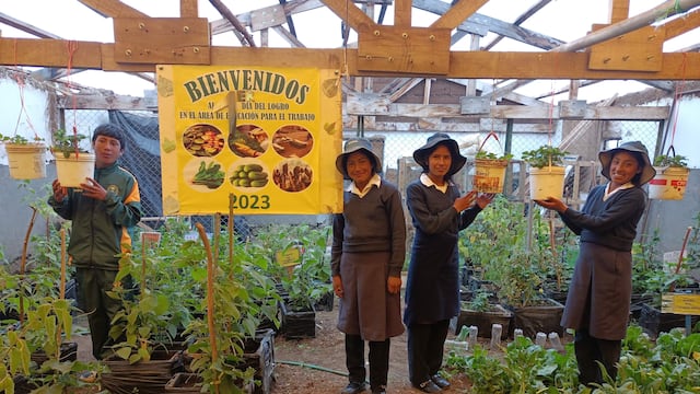 Innovadoras estrategias ante la escasez de agua en comunidades de Huancavelica