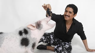 “Los cerdos no miran al cielo”: la primera comedia teatral peruana sobre narcos se estrena en setiembre