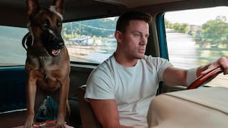 “Dog: un viaje salvaje”, con Channing Tatum: una película que ofrece más de lo que esperas | CRÍTICA