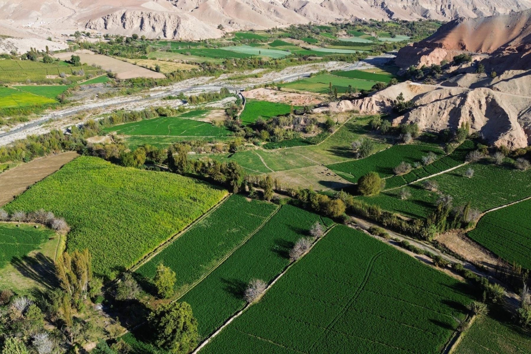 En el segundo trimestre, la producción destinada al mercado interno cayó 4,1%. (Foto: Andina)