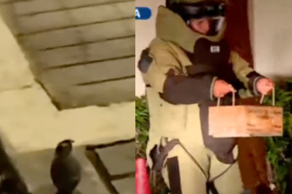 La granada fue colocada en una caja de arena para su traslado. Foto: composición EC/ captura Buenos días Perú