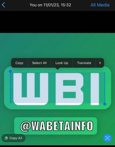 Vista previa de la función "Detección de texto". (Foto: WabetaInfo)