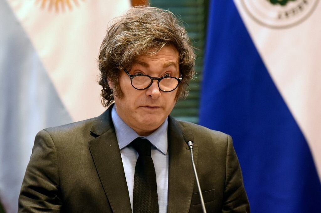 Argentina's President Javier Milei speaks during a joint press conference with Paraguay's President Santiago Pe�a (out of frame) following a meeting at the Palacio de Lopez government palace in Asuncion on April 9, 2025. (Photo by DANIEL DUARTE / AFP)
