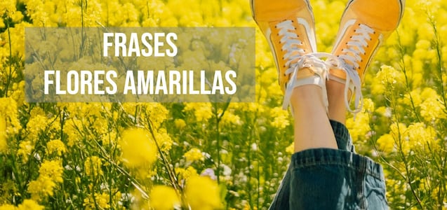 50 frases de flores amarillas: mensajes para dedicar este 21 de marzo en México