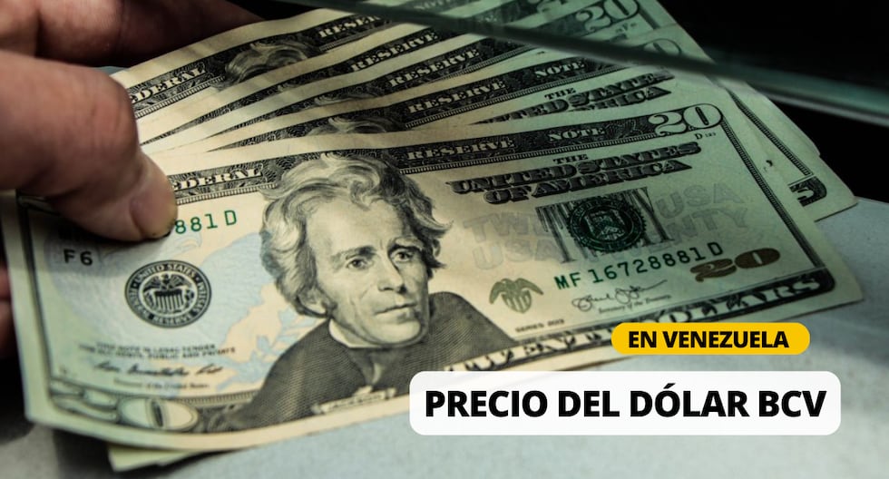 Dólar BCV HOY: Cotización oficial y tasa actualizada vía el Banco Central de Venezuela | Foto: Diseño EC