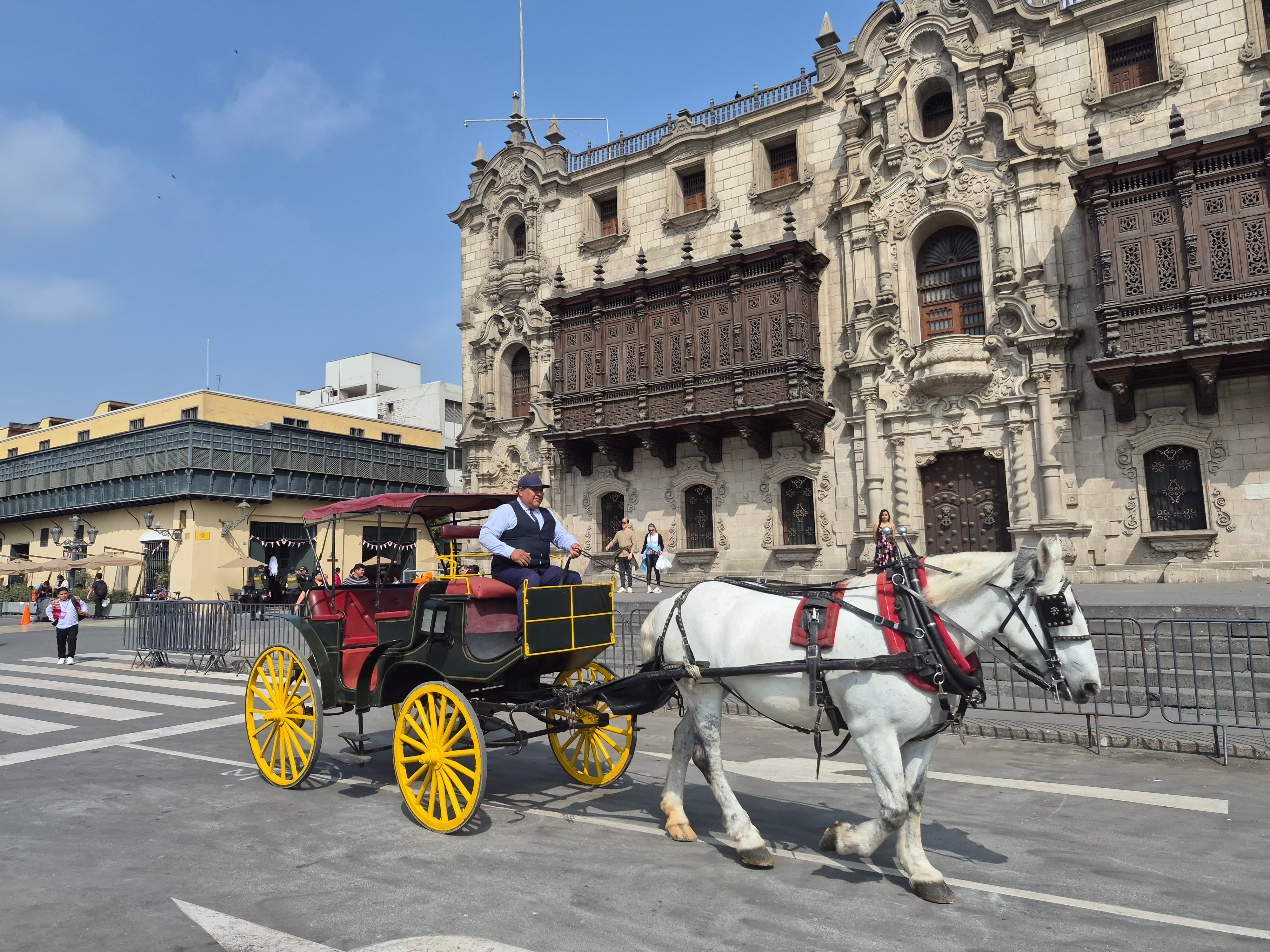 Los colores en la cámara del Samsung S25 FE no son saturados. Por el contrario, se siente bastante reales.