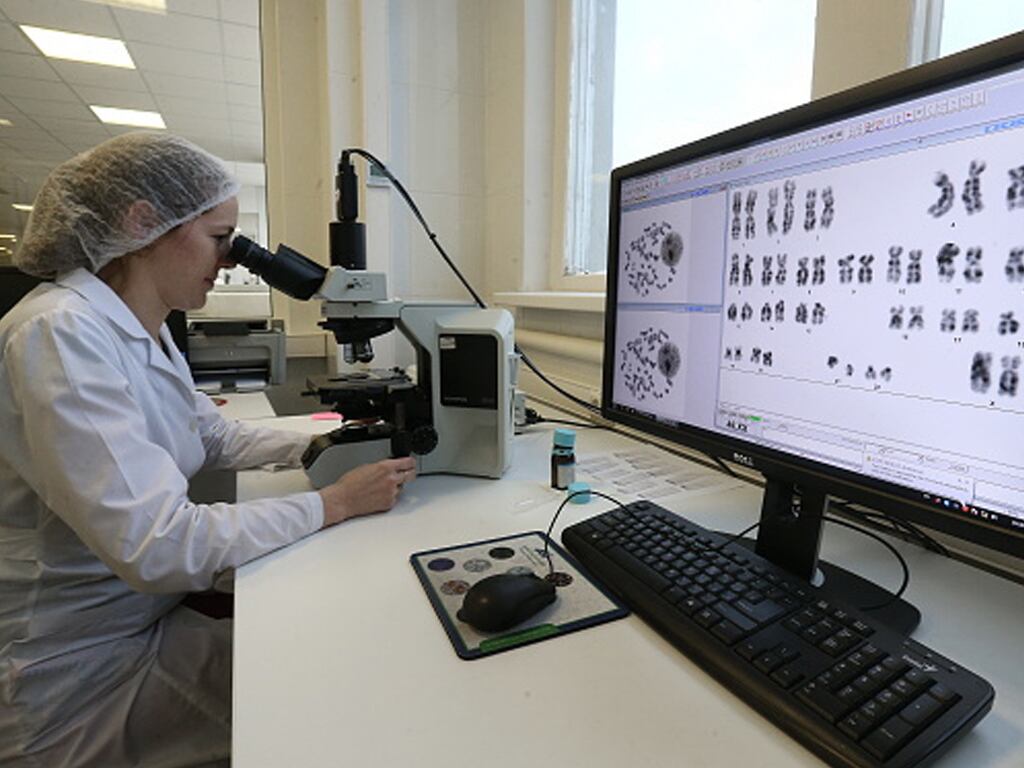 La IA se utiliza para analizar imágenes de embriones durante la fertilización in vitro (FIV), por lo que los algoritmos pueden evaluar la calidad de los embriones con gran precisión, ayudando así a seleccionar los más viables para la implantación y, por ende, un embarazo exitoso.