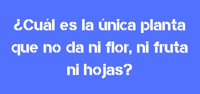 Adivina en 10 segundos: ¿Cuál es la única planta que no da flores, frutas y hojas?