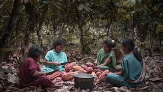 El emprendimiento asháninka que incursiona en el mercado mundial del cacao y café