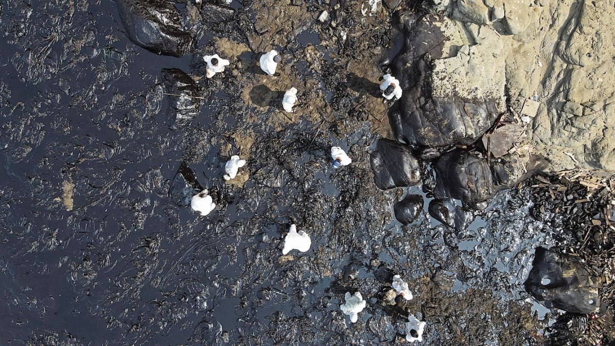 Los verdaderos afectados responsabilizan al Indeci y la PCM (foto: Jorge Cerdan / @photo.gec).