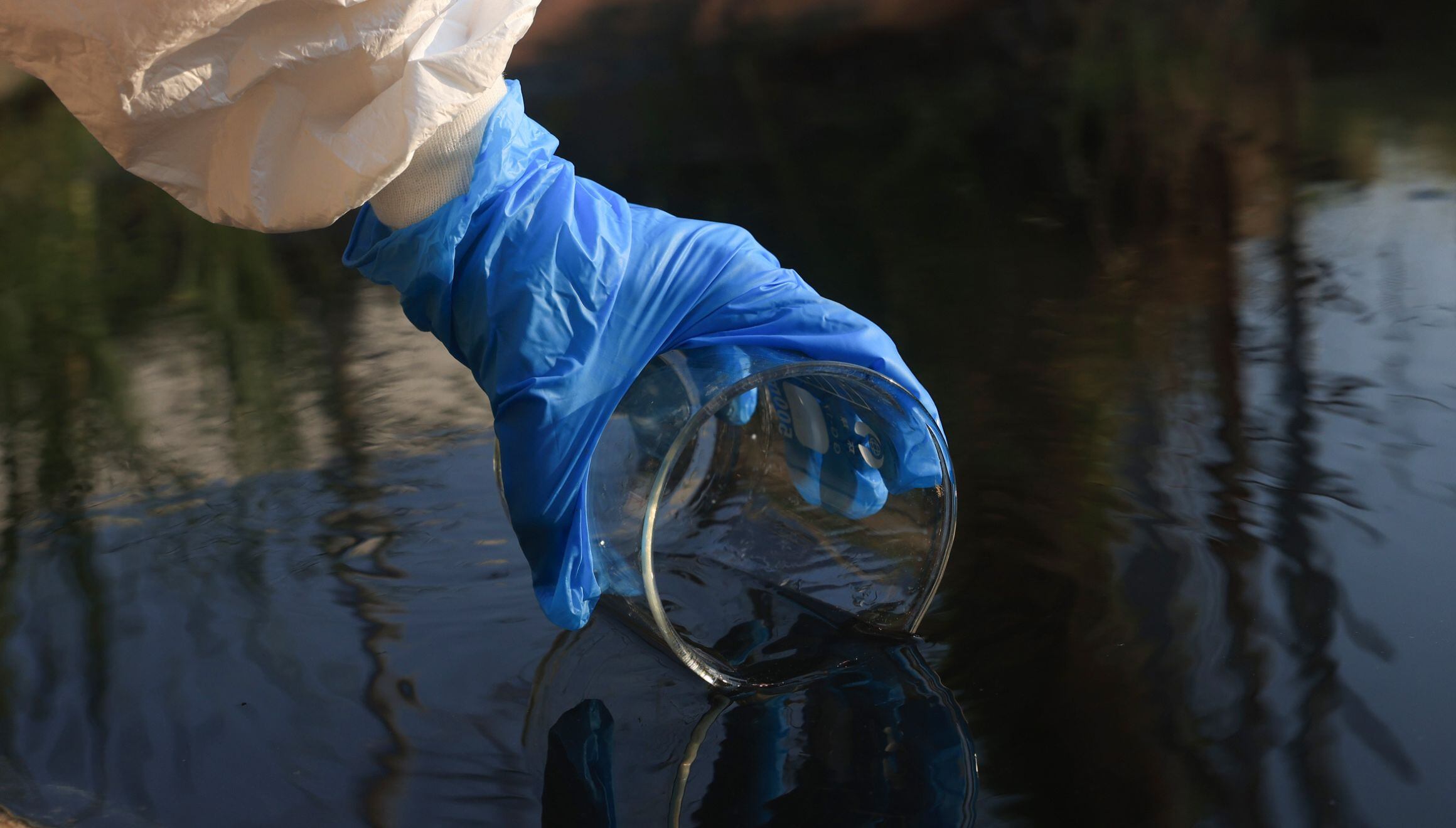 Estos microorganismos habitan los lagos y son capaces de "alimentarse" de uno de los llamados "asesinos del clima". (Foto: onuma Inthapong / iStock)