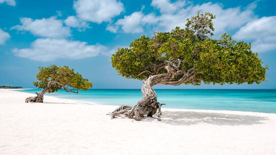 2. Playas limpias y libres de sargazo