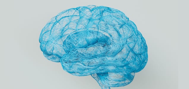 ¿Cómo se crean los recuerdos? El cerebro utiliza este complicado mecanismo