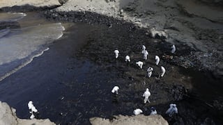 Derrame de petróleo: ¿Qué le falta hacer a Repsol para remediarlo? Investigadores de la UNI responden