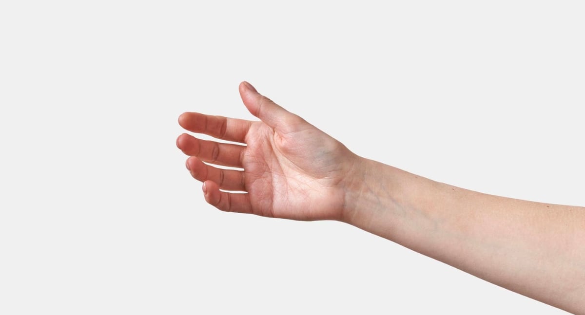 Cada parte de la mano tiene un significado que revela la personalidad. Foto: FreePik.