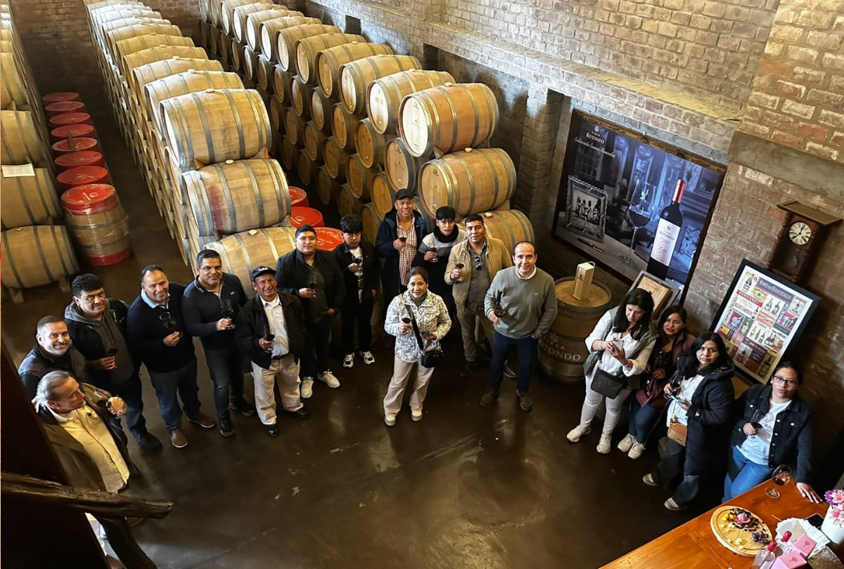 (Foto: Difusión - Bodega Viña Vieja)