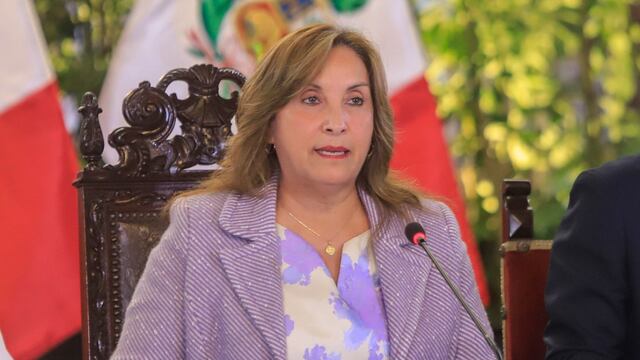 Gobierno priorizará lucha contra la minería ilegal tras acuerdos del Consejo de Seguridad Ciudadana