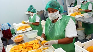 Minagri: Despachos de mango y palta a China no se detendrán, pese al coronavirus