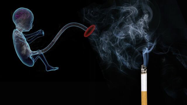 La exposición al tabaco al comienzo de la vida acelera el envejecimiento