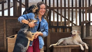 Macla Yamada busca aliviar abandono de perros en Lima