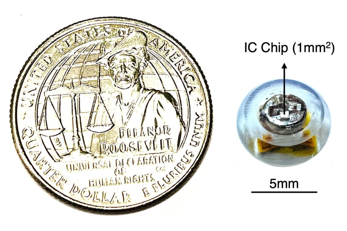 Tú siguiente termómetro podría ser ingerible: diseñan una mini cápsula que mide la temperatura en tiempo real