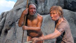 El neandertal habría causado su desaparición por no tener muchos hijos, según estudio
