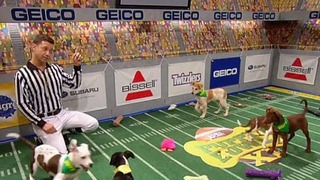 Cómo ver el Puppy Bowl 2023, evento previo al Super Bowl protagonizado por perros
