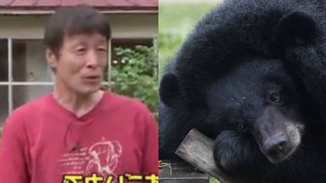 Japón: Un pescador karateca derrotó a un oso