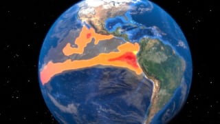 Los científicos confirman el comienzo de El Niño: qué consecuencias puede tener este potente fenómeno en nuestro planeta