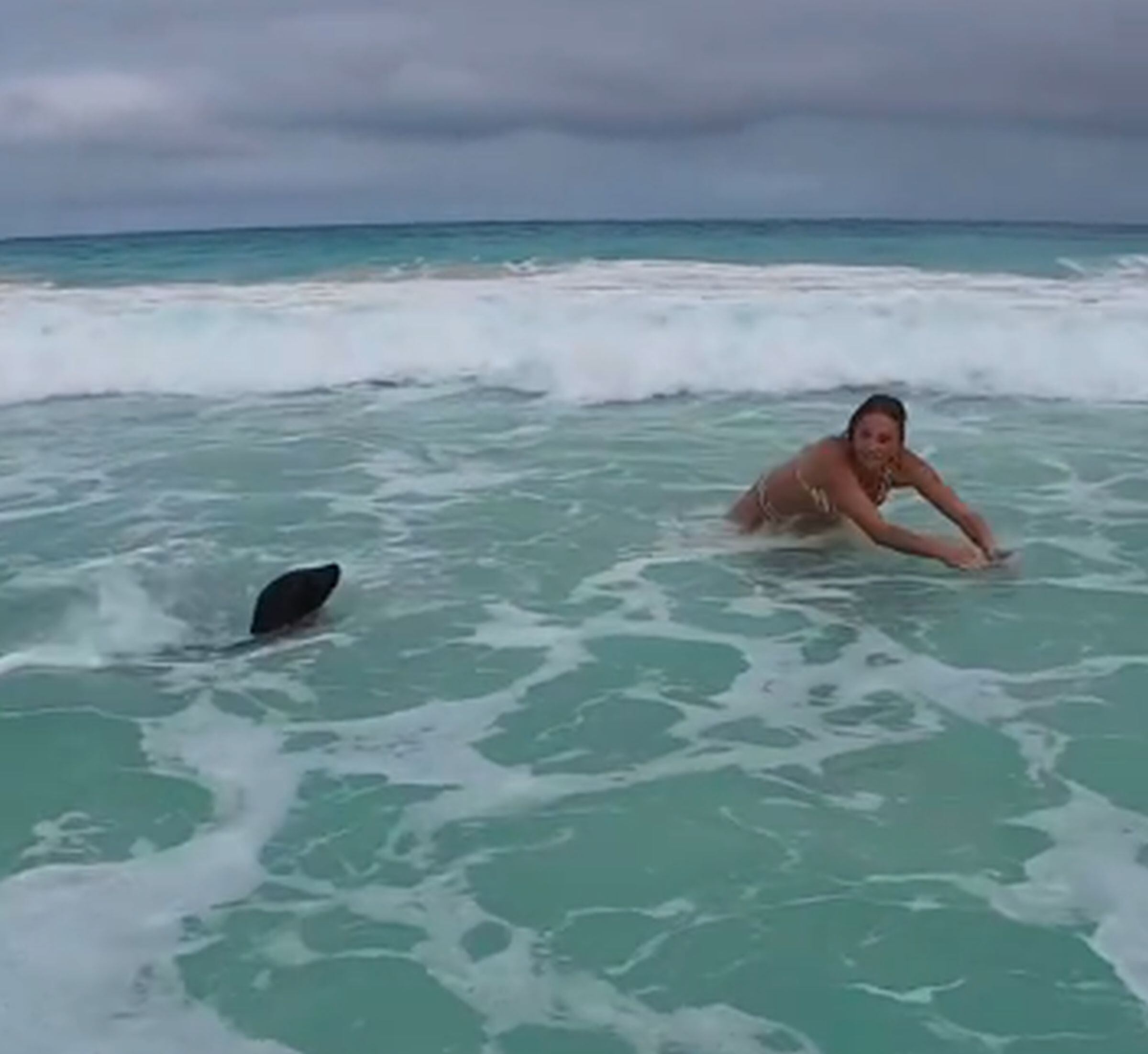En esta imagen se puede apreciar a Cosette a punto de hacer bodysurf cerca de un lobo marino. (Foto: @coziadventures / TikTok)