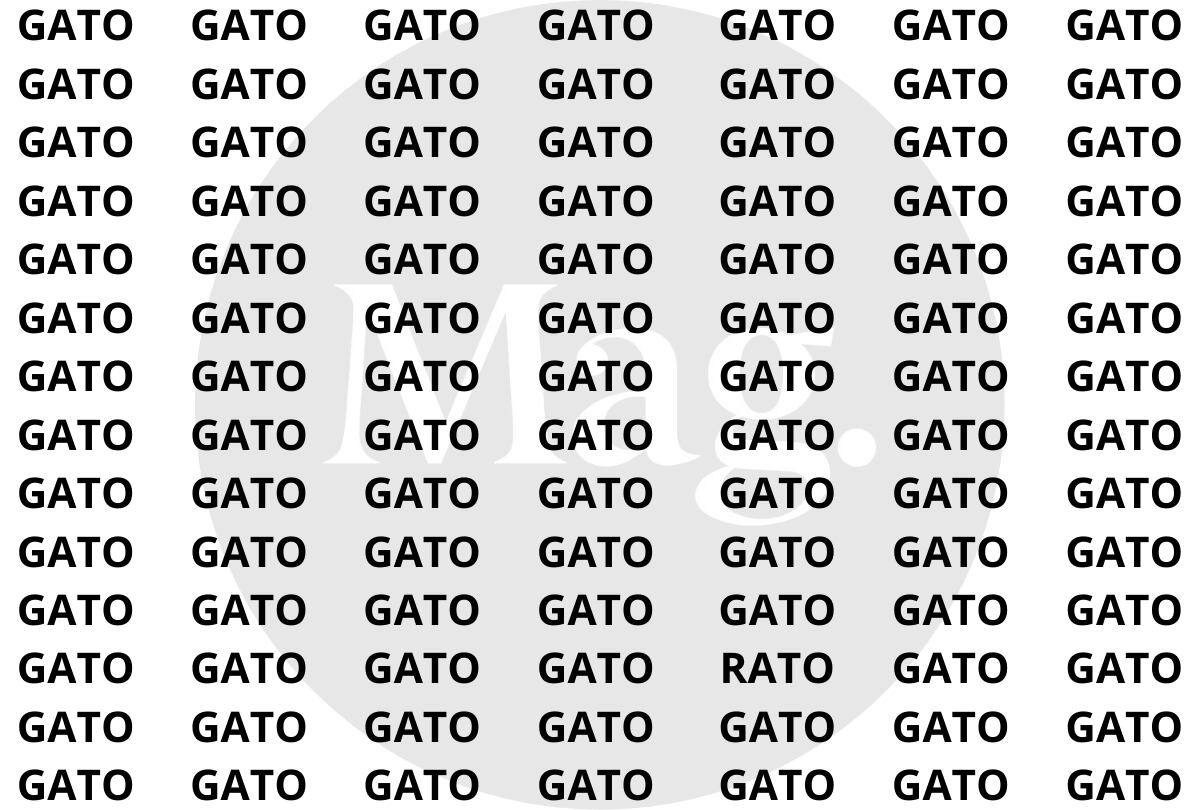 Reto visual: Encuentra 'Rato' entre 'Gato' en menos de 7 segundos. (Foto: Mag)