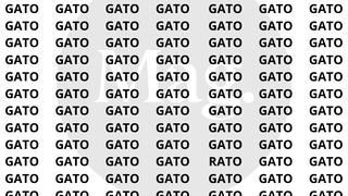Encuentra la palabra ‘RATO’ entre los ‘GATO’ en menos de 7 segundos