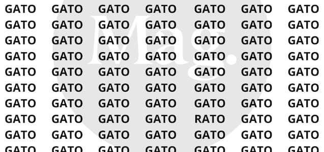 Encuentra la palabra ‘RATO’ entre los ‘GATO’ en menos de 7 segundos
