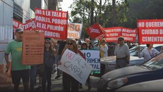 Surco: conflicto por los árboles en la avenidaBenavides | VIDEO