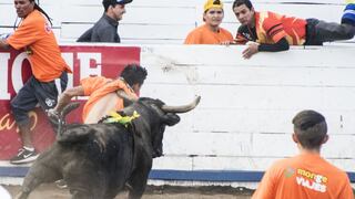 Costa Rica: La polémica fiesta de toros de Año Nuevo a la que muchos se oponen