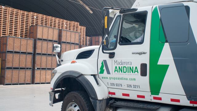 Maderera Andina diversifica productos: avances y retrocesos en el comercio de la madera de pino en el Perú